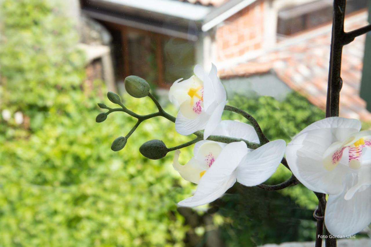 Carera Rovinj 아파트 외부 사진